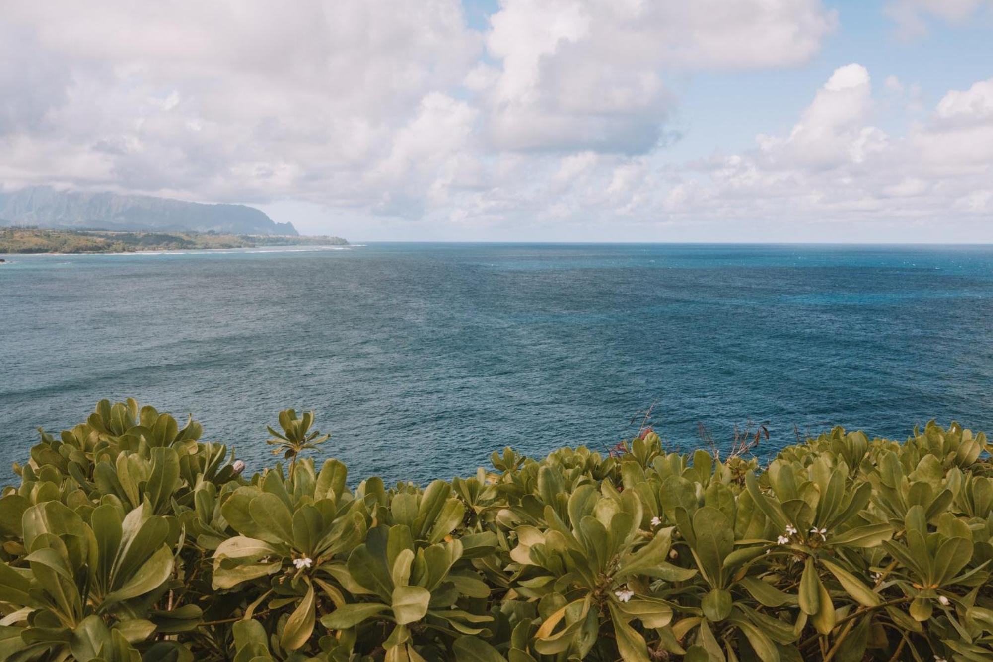 Plantation Hale Suites Kapa'a Kültér fotó