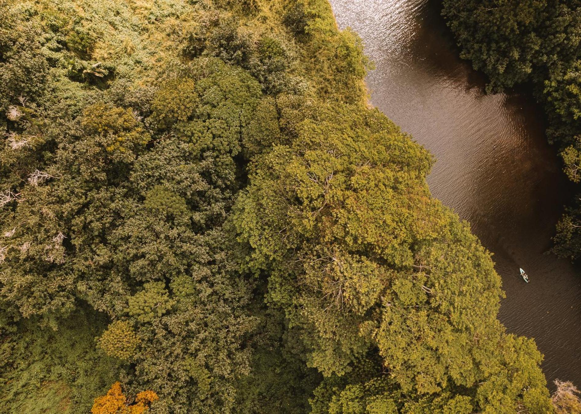Plantation Hale Suites Kapa'a Kültér fotó