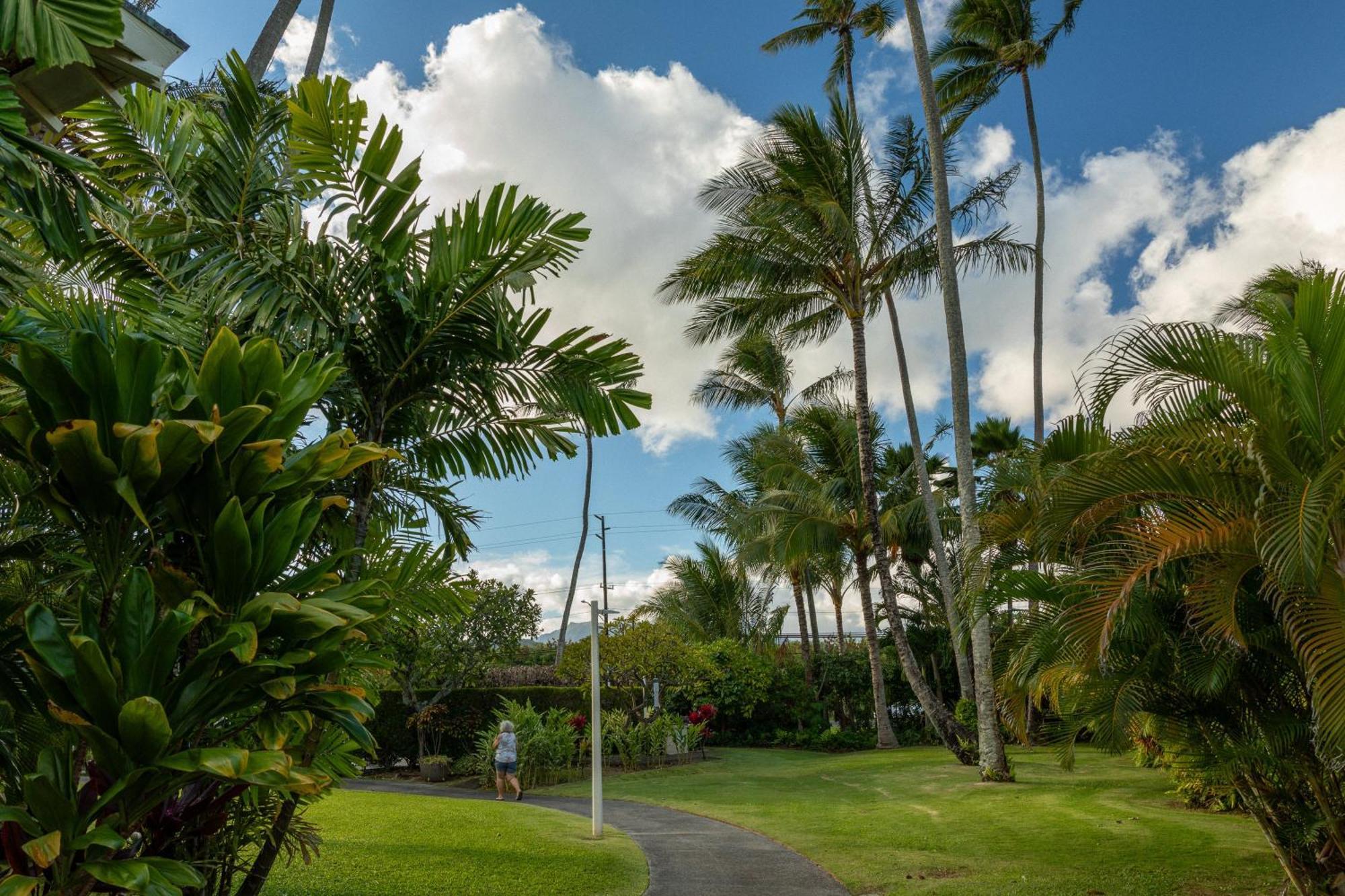 Plantation Hale Suites Kapa'a Kültér fotó